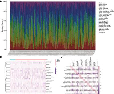 Immune microenvironment and clinical feature analyses based on a prognostic model in lymph node-positive breast cancer
